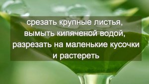 Паста Академика Филатова ТВОРИТ ЧУДЕСА! Полное восстановление зрения для всех!