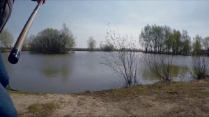 Попал на раздачу линя. Готовим прикормку на линя. Рыбалка на удочку.
