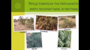 География 7 Пустыни и полупустыни России