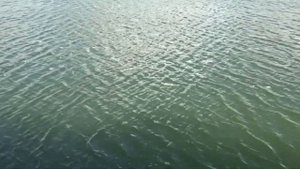 Симферопольское водохранилище.Щука.4кг.На джиг.