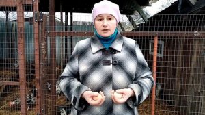 Почему куры несут МЕЛКОЕ ЯЙЦО. Причины и решения.