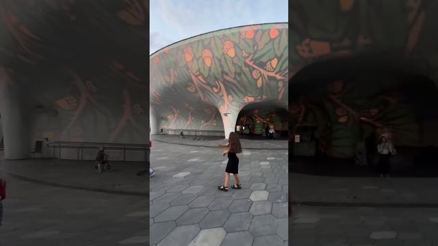 Невероятной красоты светопредставление в парке «Зарядье». #кудасходитьвмоскве #кудасходитьвмосквесде