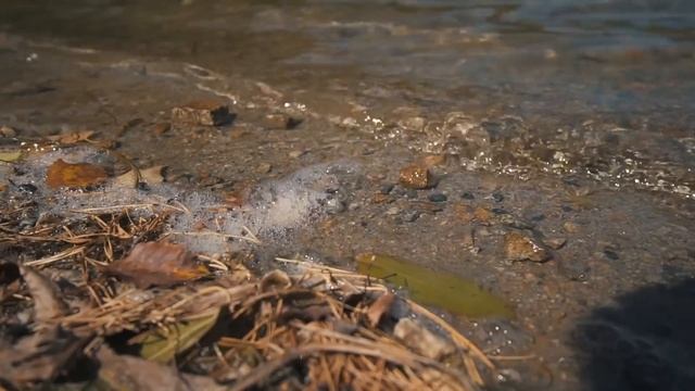Едем в горы! Экскурсия в Карачаево-Черкесию. Мара, Теберда, Домбай. смотреть онлайн