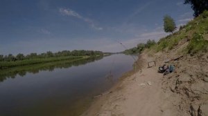 Бешеный клев сазана на Ахтубе