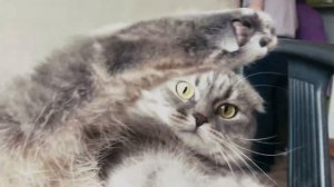 ИЖЕВСКИЙ ЛАЙВ. ТИМУРКА БЕЗ МЕСТА. УДМУРТЫ В КАЗАНИ.