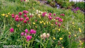 Муж привёл в дом, сына от любовницы...