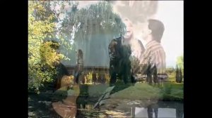 Снова слышу голос твой......