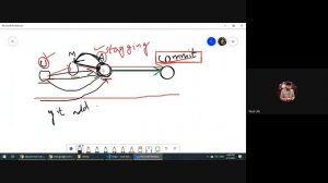 #6 Introduction to Git and Github, Benefits of using Git & Github, Git Stages(add, Commit, Push etc