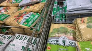 Какой грунт для рассады лучше?