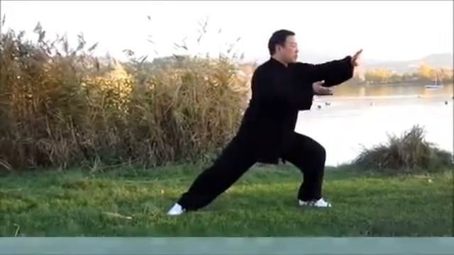 1 Базовые усилия чень ши-- Чжан Донву тренировка восьми усилий в Чэнь ши тайцзицюань смотреть онлайн