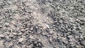 БИЗНЕС НА ДАЧЕ