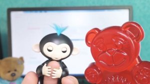 КАК ПОЯВИЛСЯ КУЗЯ У ЖЕЛЕЙНОГО МЕДВЕДЯ ВАЛЕРЫ