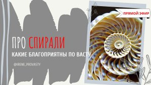 Какие спирали по Васту благоприятны