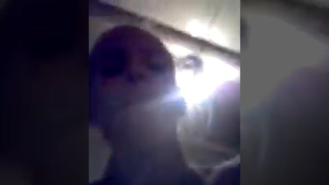 Описание зверей смотреть онлайн