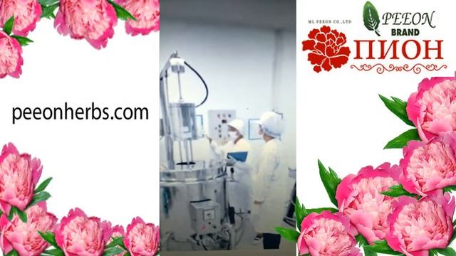 фабрика Аптека Пион смотреть онлайн