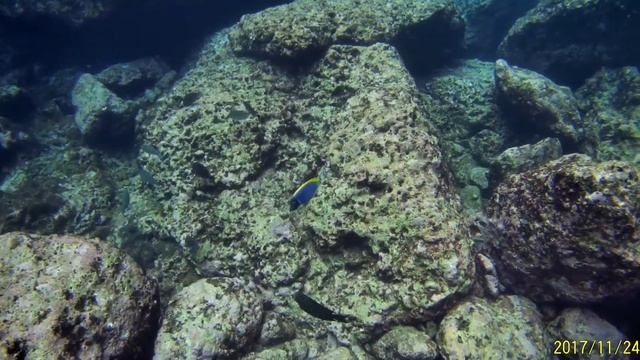 Тайланд рыбки Пхи Пхи 2017 ноябрь смотреть онлайн