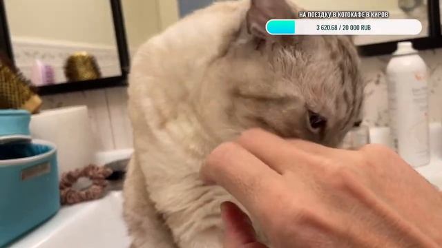 Добрый вечер смотреть онлайн