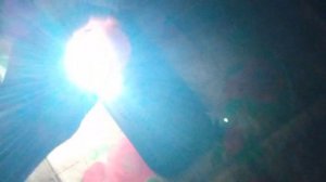 Как проверить яйцо на наличие зародыша? Овоскопирование