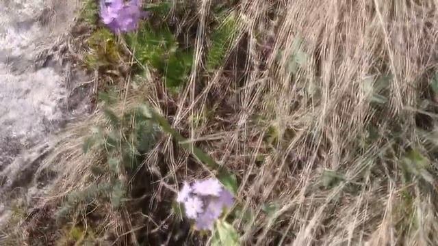 Большое Алматинское озеро. Алматы. Казахстан.