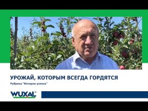 Сады в Кабардино-Балкарии/Результаты применения суспензий Вуксал в садах/Саженцы из питомника