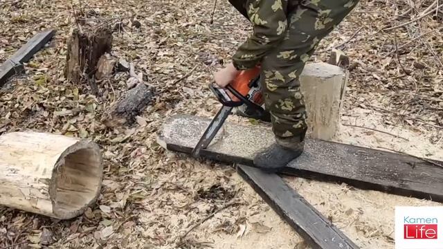 Алтайские белки (домик для белок) смотреть онлайн