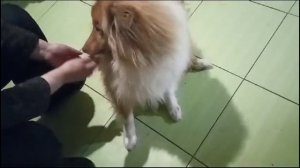 Пул готовится искать