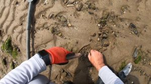 ШОК! Нашел ЗОЛОТО и СЕРЕБРО! И монеты ТРЕХ веков!! Пляжный поиск золота на острове с Deus 2