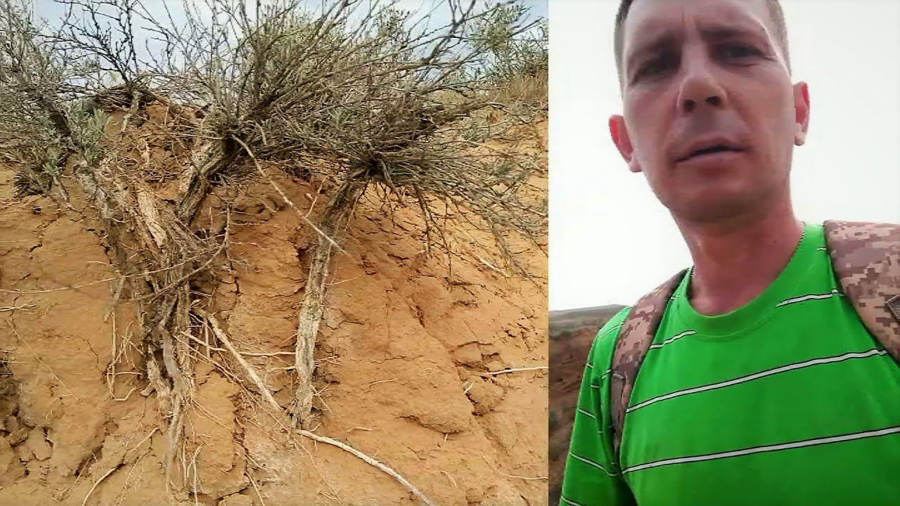 Разлом степного бугра.Что это могло быть?.Астраханская степь