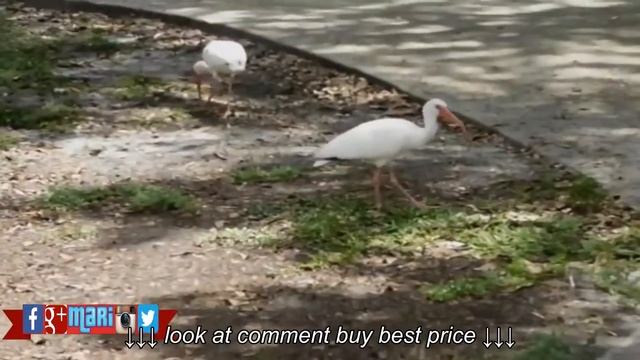 Trying My New Nikon: COOLPIX L840 Digital Camera смотреть онлайн