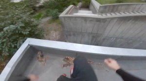 ПАРКУР ПОБЕГ ОТ ЗОМБИ НА ХЭЛЛОУИН ОТ ПЕРВОГО ЛИЦА. POV 🎃