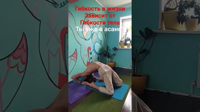 живи легко будь гибким тело душа и ум все взаимосвязано #саморазвитие #гибкость #женские #практики смотреть онлайн