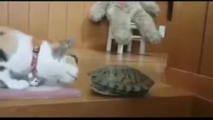Песенка про дружбу