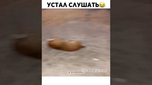 Ужас