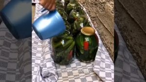 Готовим соленые огурцы