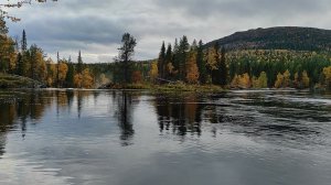 Карелия. Перед водопадом Киваккакоски