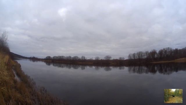 Необыкновенная рыба. смотреть онлайн