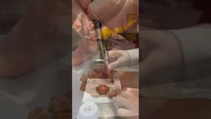 "Все в шоколаде"