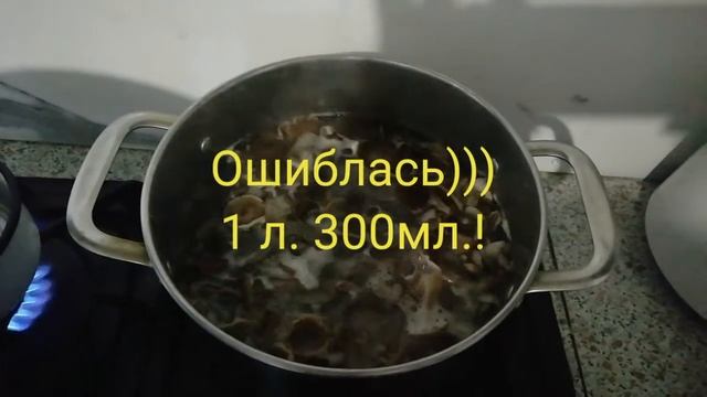 Опята на зиму. Вкусно быстро//Хаски Блюз Интересная жизнь смотреть онлайн