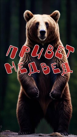 Бурые Медведи. Интересные Факты.
