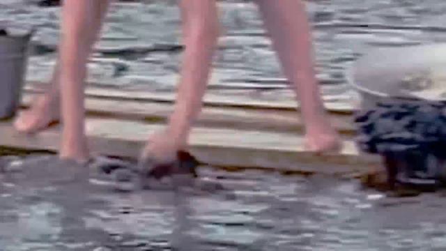 "Птань - река". Микрофильм из фотографии. смотреть онлайн