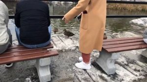 Карелия, октябрь 2020