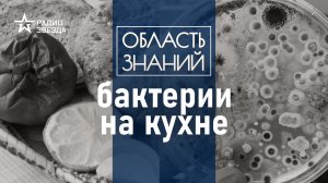 Почему портятся продукты? Лекция химика Валентина Новикова.