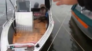 Вельбот 42 против Фишбот 37 мах.