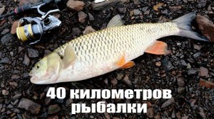 Мощный ГОЛАВЛЬ и отряд окуней, или 40 КИЛОМЕТРОВ в поисках рыбы