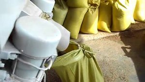 Очистка гречки, лузги