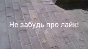 Как открыть подъезд без помощи ключей.