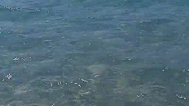 Крым, Оленевка, пляж, море июнь 2018г_480p