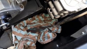 Стелс викинг 600 2.0 (подготовка к сезону)