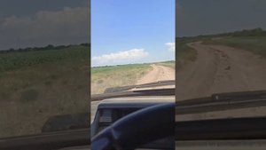 6 кадров и Василий))