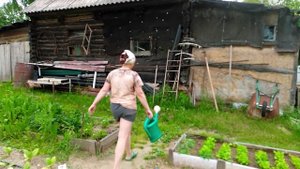 Выходной шашлык